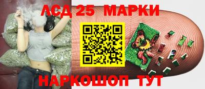 мет Будённовск