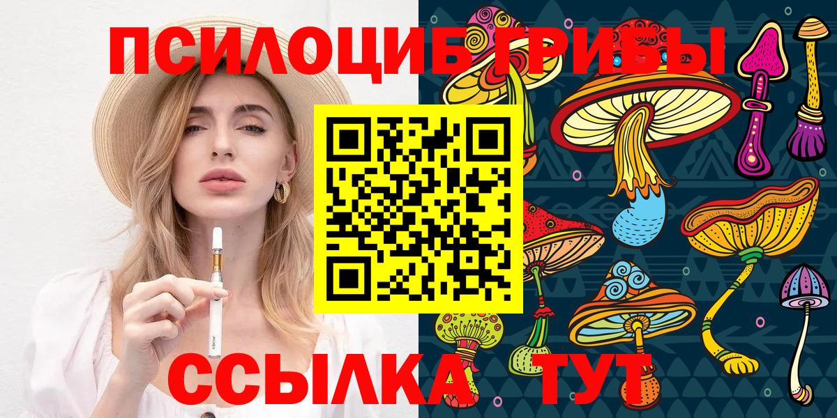 Псилоцибиновые грибы GOLDEN TEACHER  Псилоцибиновые грибы GOLDEN TEACHER  купить закладку  Вход с VPN  Отрадное 